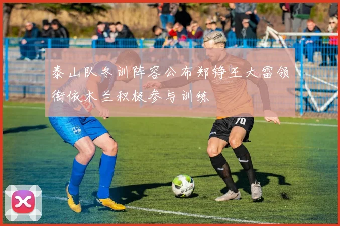 泰山队冬训阵容公布郑铮王大雷领衔依木兰积极参与训练